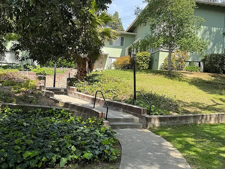 Verdugo Verde — Photo 5