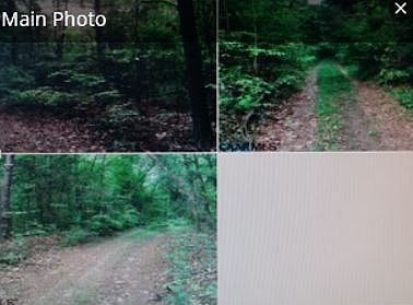 2nd image of Phoenix Rd