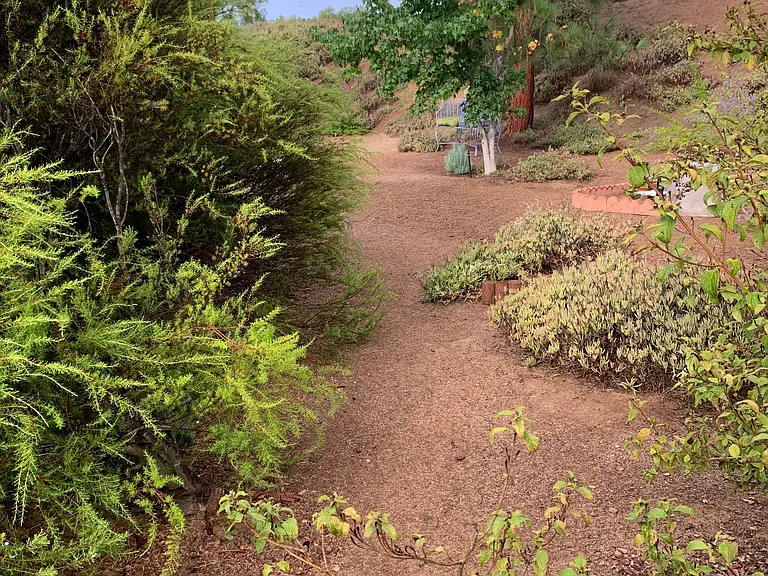 Front yard