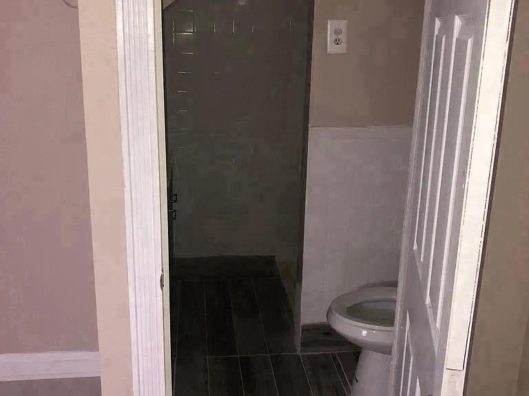 Lower Level Bathroom