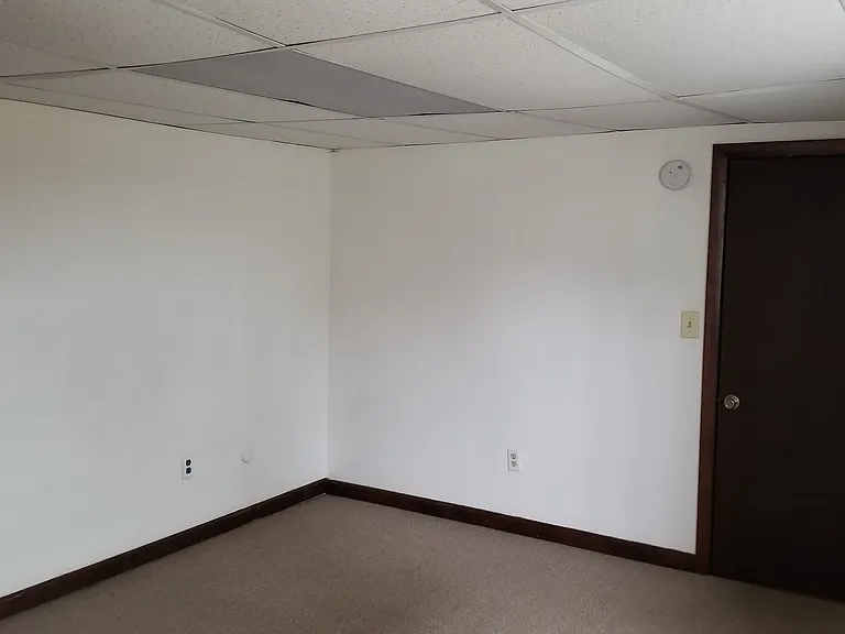 21 W Carpenter St #BASEMENT — Photo 10