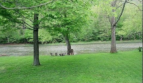 Backyard/creek frontage