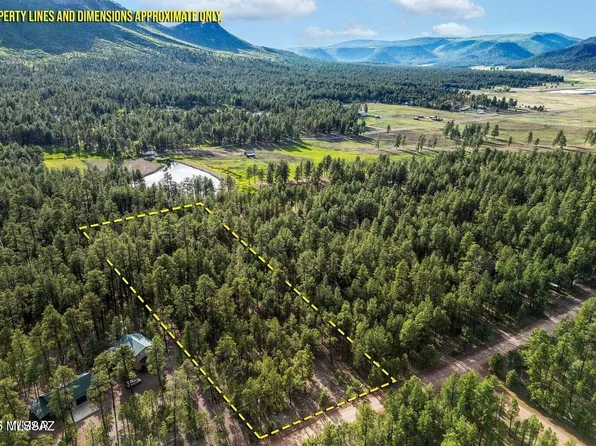 15 County Road 2083, Alpine, AZ 85920