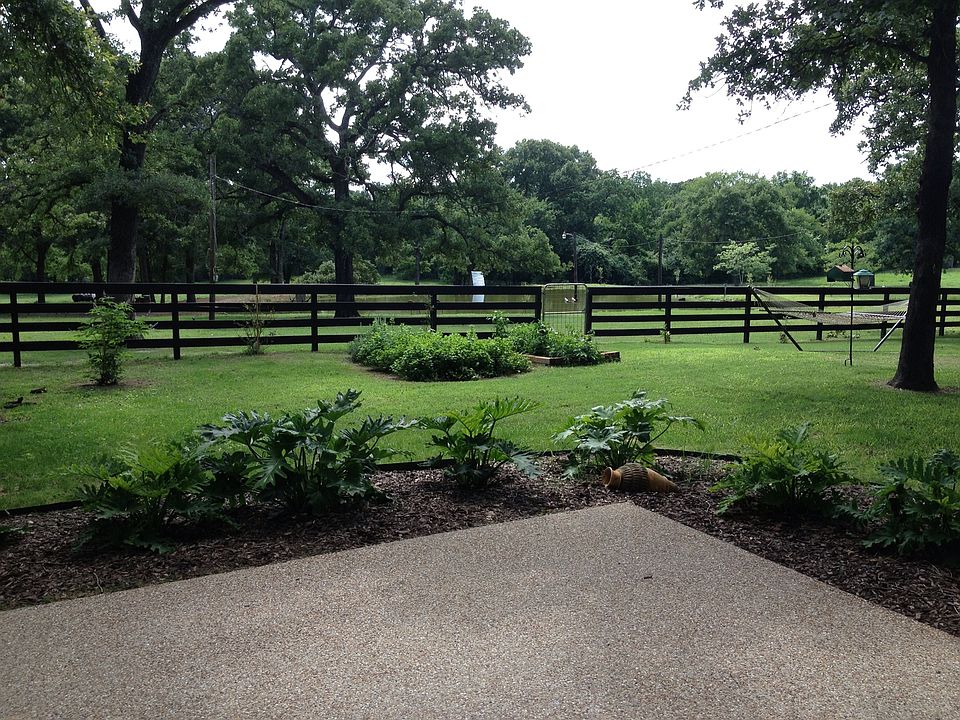 Patio in Backyard