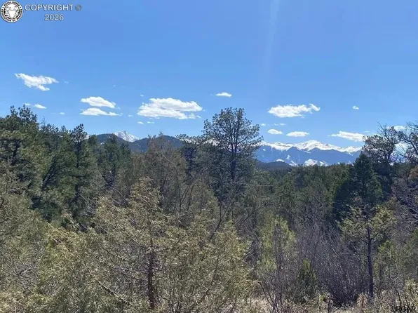 104 F Path, Cotopaxi, CO 81223