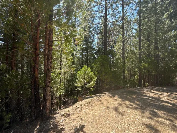 Kangaroo Creek Rd, Gazelle, CA 96034