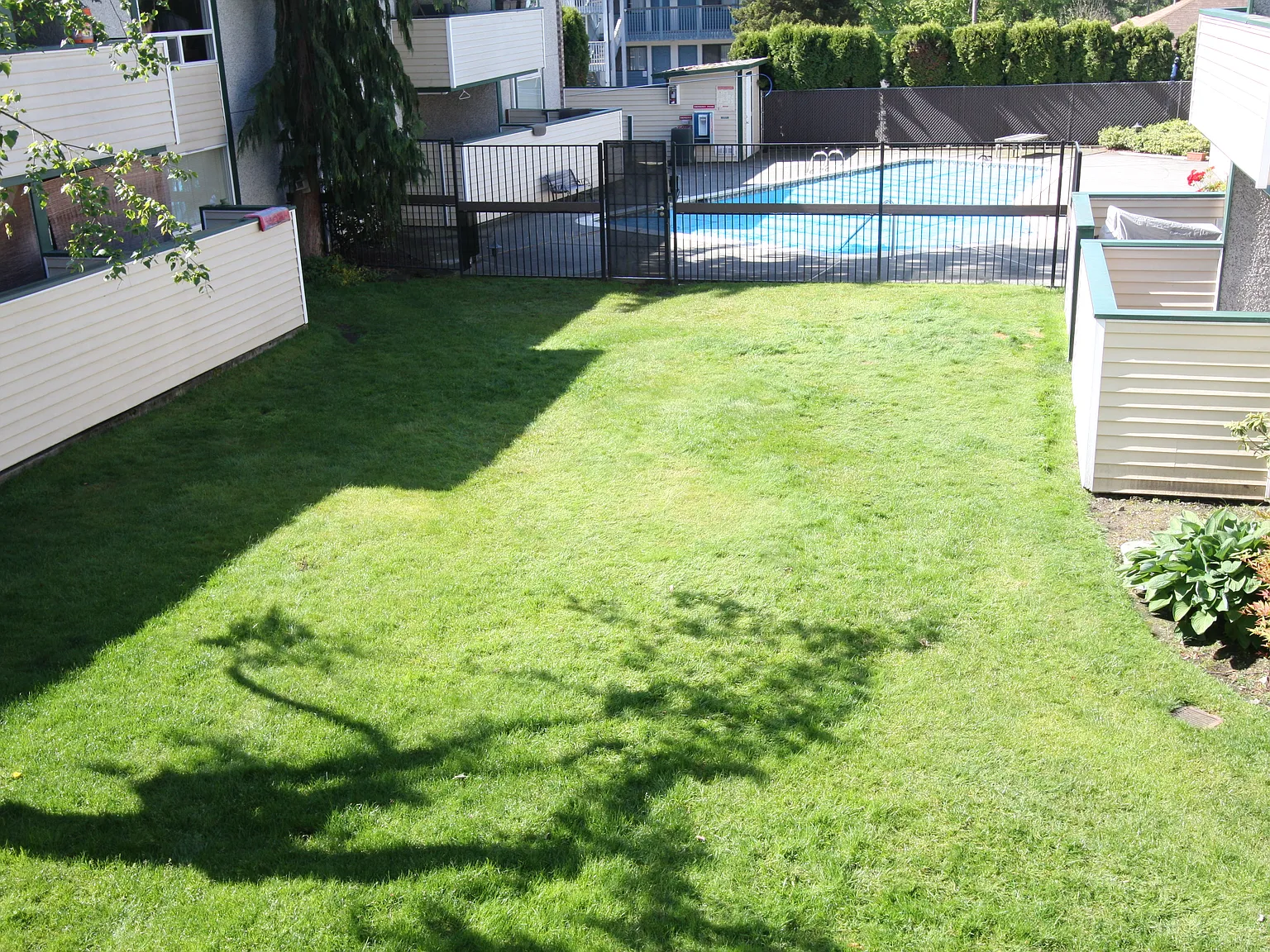 Emerald Villa — Photo 3