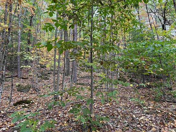 4th image of Lot 156 New Hampshire Drive #156