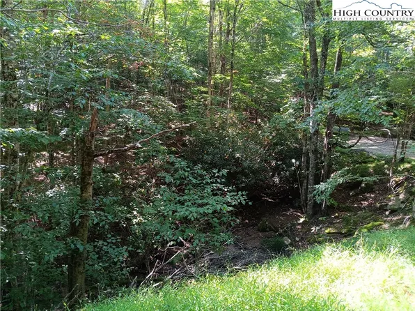 TBD No Street, Beech Mountain, NC 28604