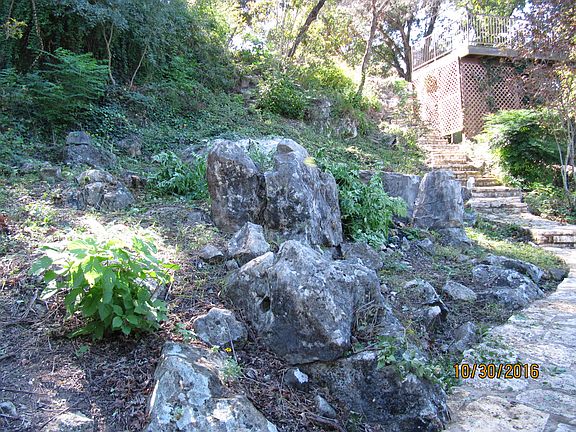 Lot and stairs to Deck