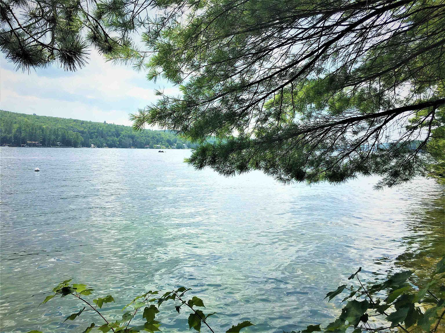 Map102 Lot14,15 Pine Point Road, New Durham, NH 03855 MLS 4963380