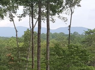 1345 E New Hope Rd #2, Ellijay, GA 30536