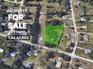 4001 Fox Ridge Blvd, Wesley Chapel, FL 33543