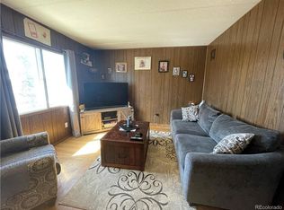 225 W 12th St, Leadville, CO 80461