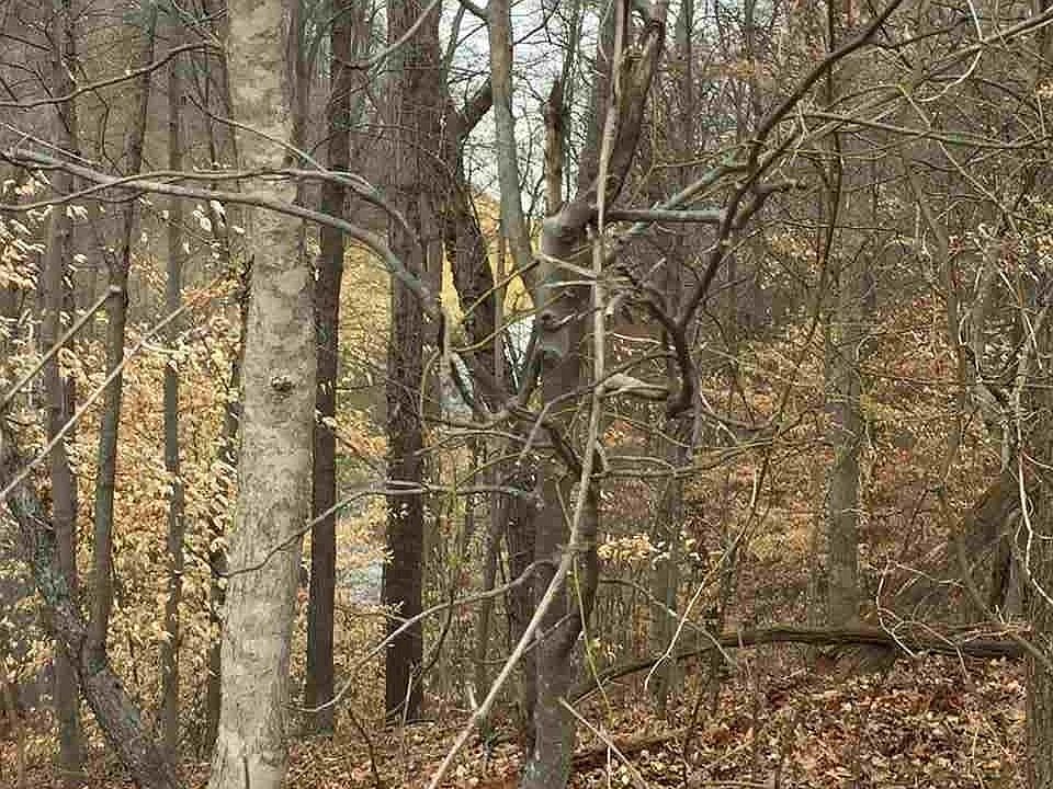 1st image of 2200 Woods Ridge Rd Lot 0