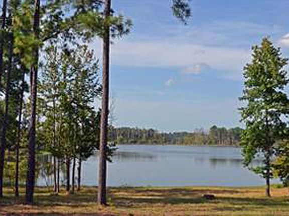 5th image of Rayburn County