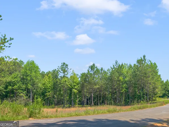 138 Rivers Edge Dr, Forsyth, GA 31029