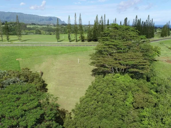 3693 Kuula Pl, Kilauea, HI 96754