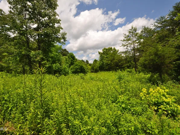 Bailey Ln, Maynardville, TN 37807