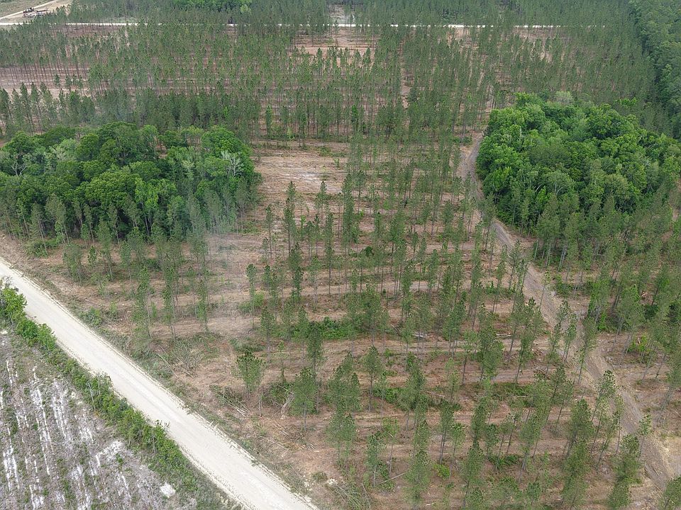 2nd image of 2950 Buck Swamp Rd