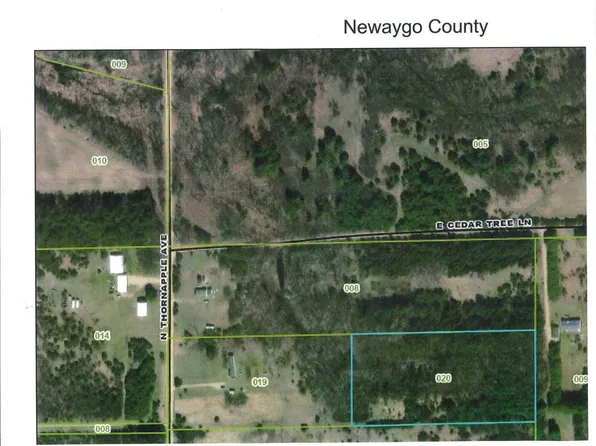 1138 N Thornapple Ave, White Cloud, MI 49349