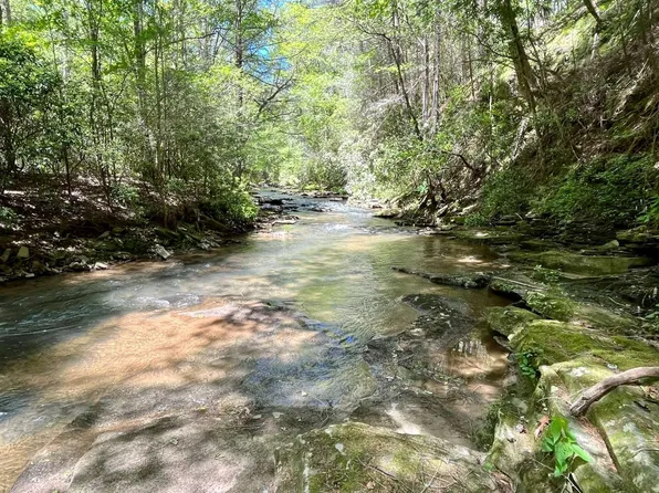 69 Mountain Creek Hollow Dr, Talking Rock, GA 30175