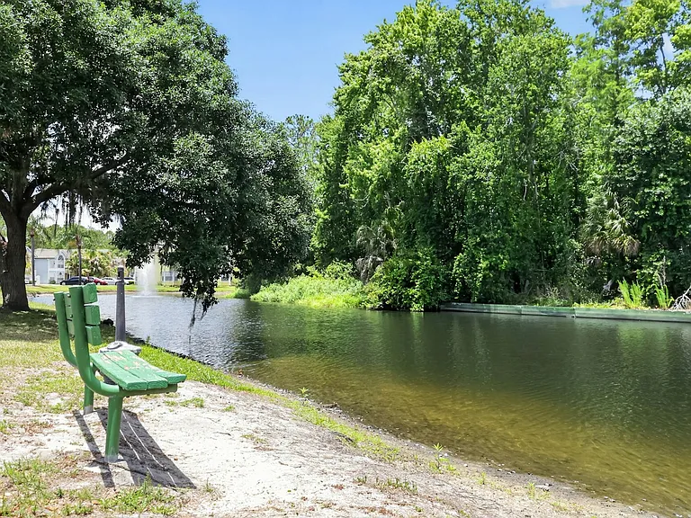 Pond/lake