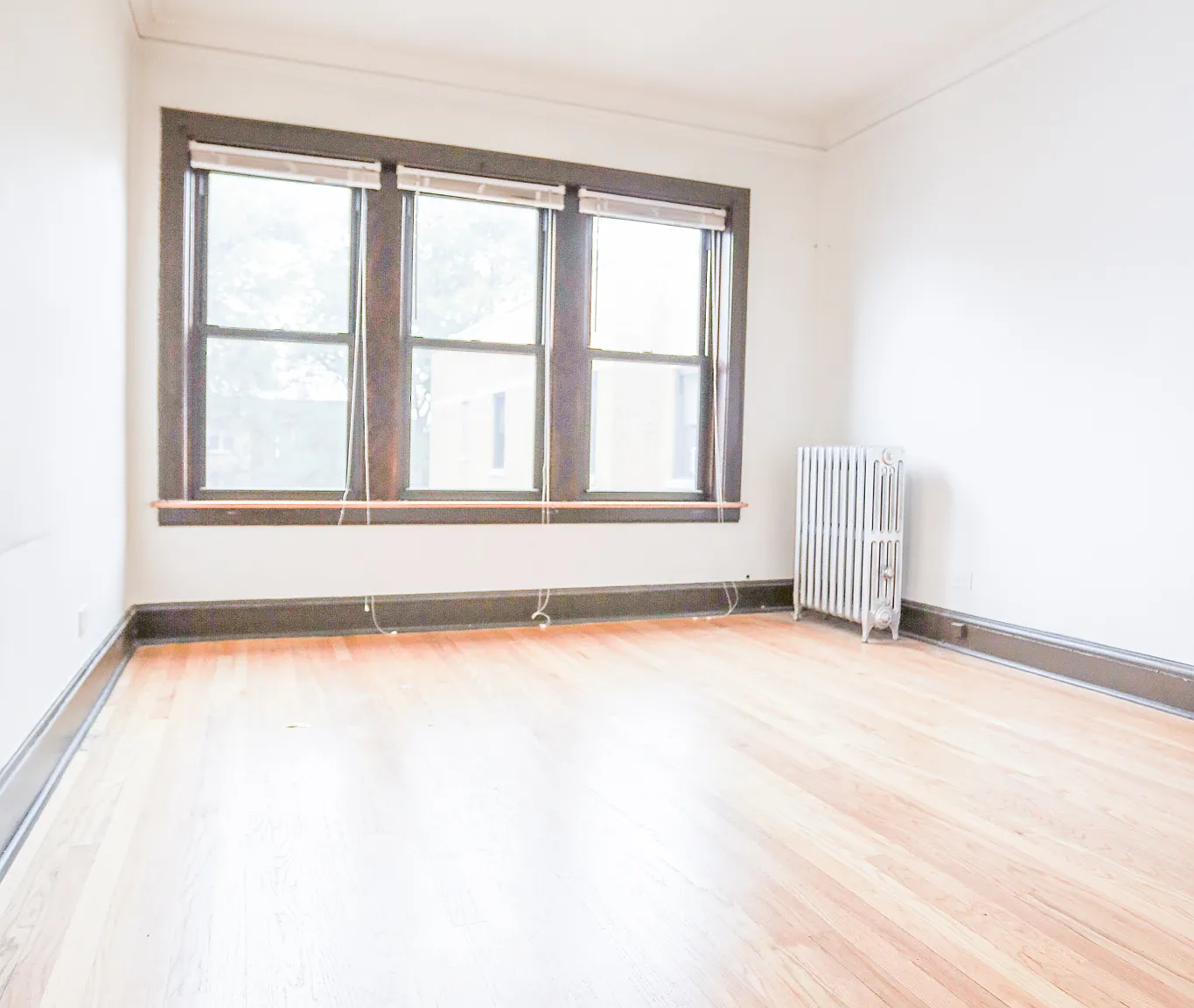 1 bed, 975 sqft, $1,800 — Photo 2