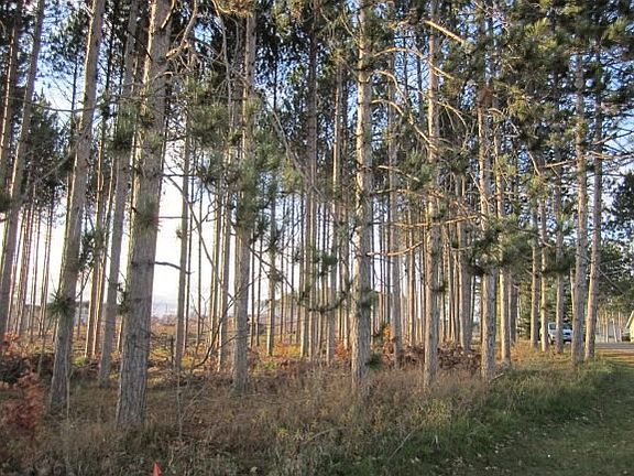 Lot in fall