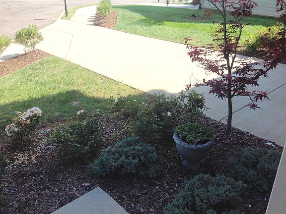5th image of 1499 Channing Dr