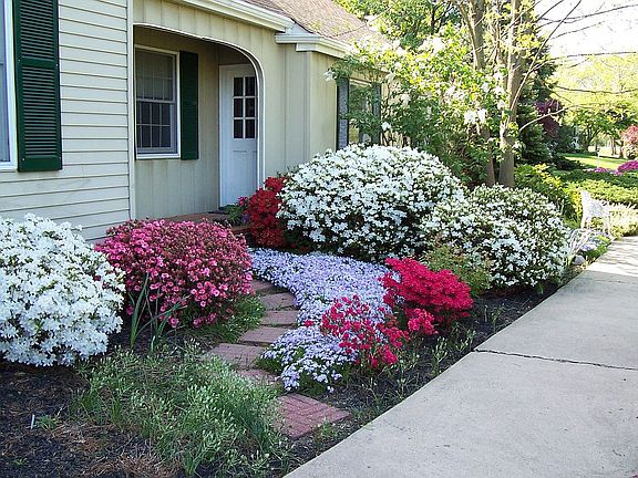 Garden Delight
