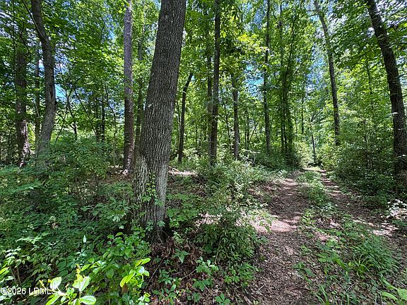 5th image of Tbd A Confederate Highway