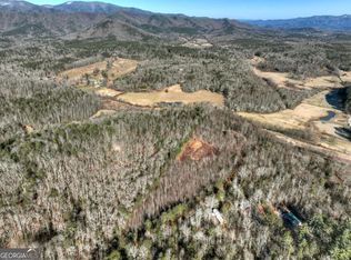 LOT 131 & #132, Blue Ridge, GA 30513