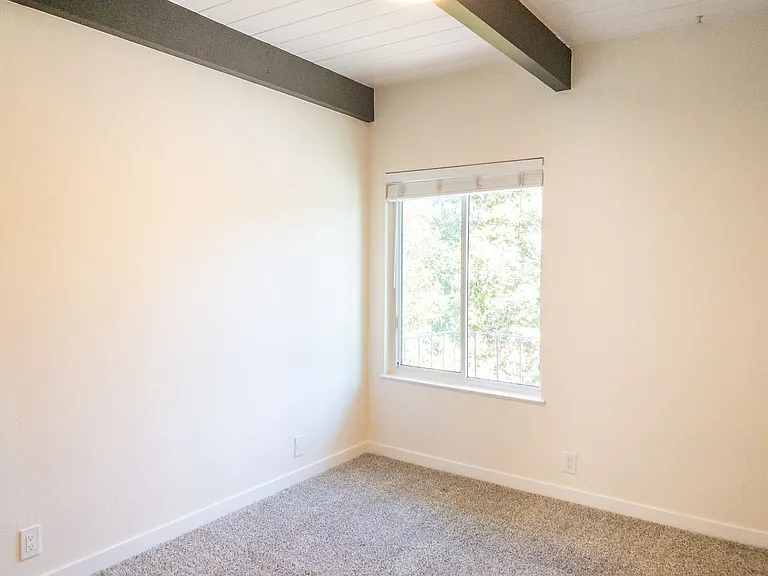360 Jean St #5 — Photo 17