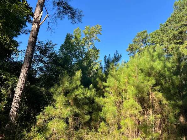 1060 Quail Path Rd, Santee, SC 29142