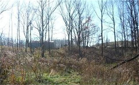 9150 Spicer Vacant Land