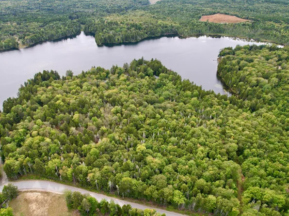 M19 L13-C Halls Mills Road, Whiting, ME 04691