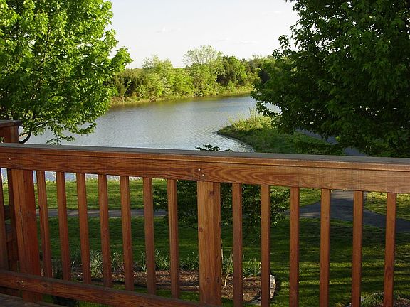 View from Deck