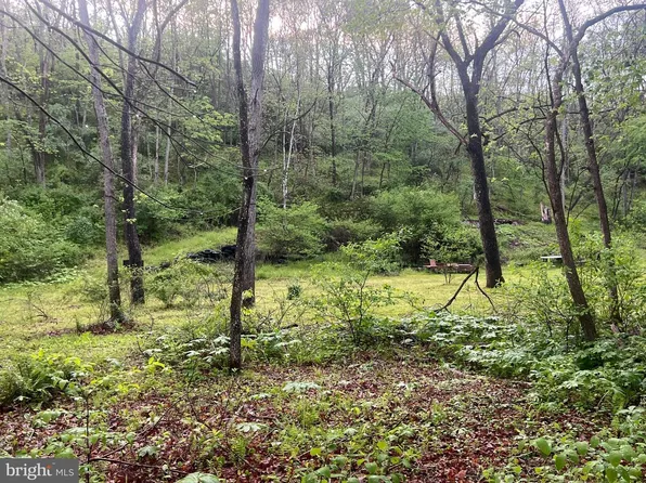 0 Sidling Hill Crk, Little Orleans, MD 21766