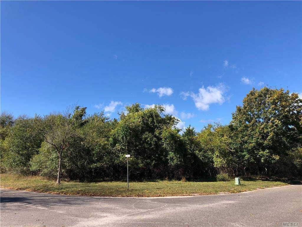  Corner of Willow & Cedar Dr