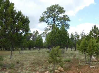 5775 Tamarron Dr, Happy Jack, AZ 86024