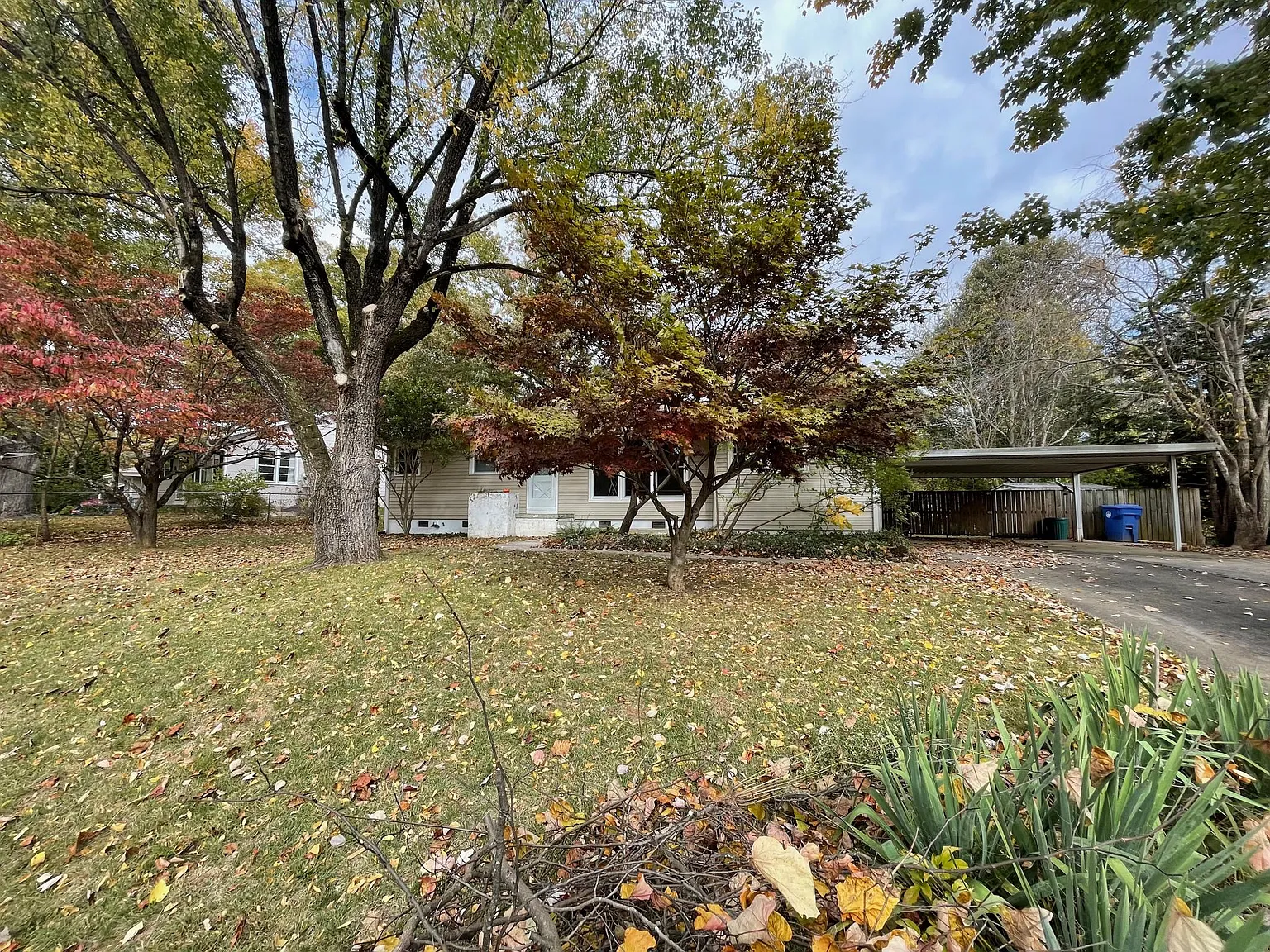 2 bed, 1.5 bath, 1068 sqft, $2,200 — Photo 3