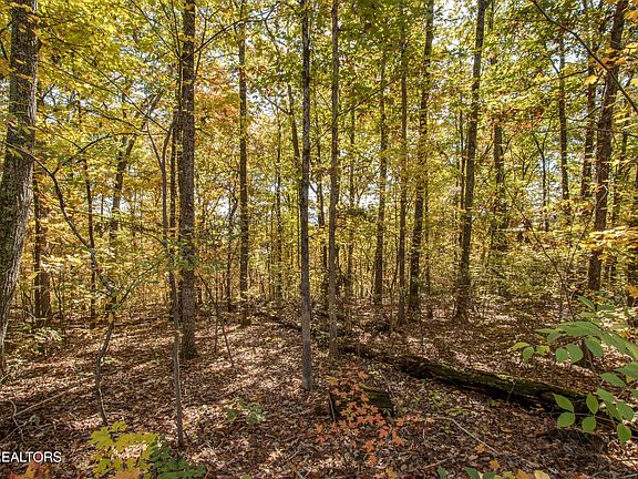 5th image of 5232 Beverly Oaks Dr Lot 9