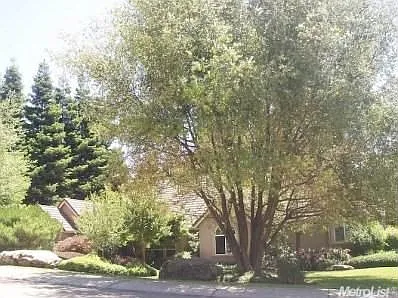 10230 Whitetail Dr photo 1