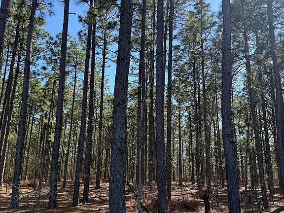 4th image of Fairview Rd