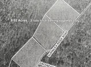 Lots 456 Supinlick Ridge Rd, Mount Jackson, VA 22842