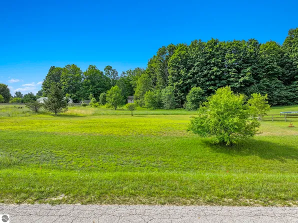 N Wood Meadows Dr, Buckley, MI 49620