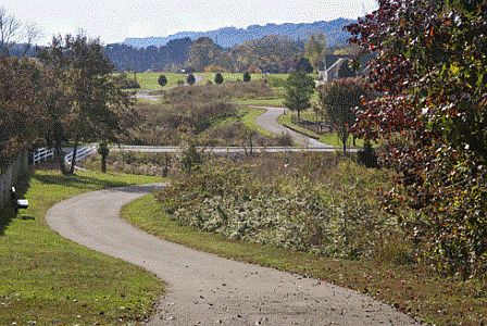 Beautiful Greenway