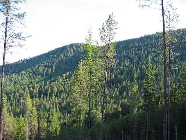 2nd image of 1 Kaniksu Rd