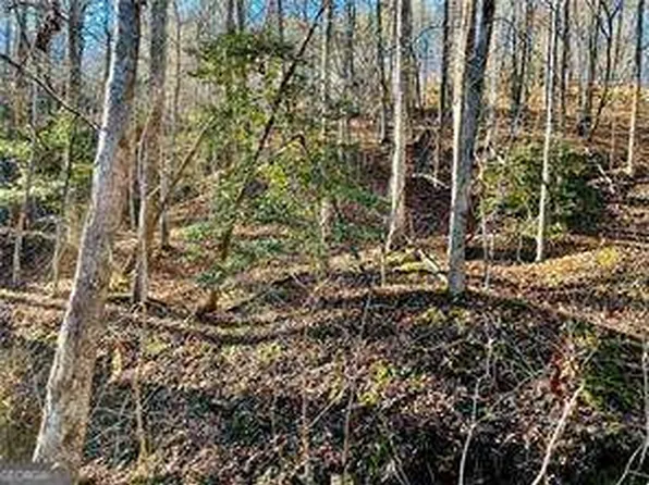 50 Old Stamp Mill Rd, Dahlonega, GA 30533